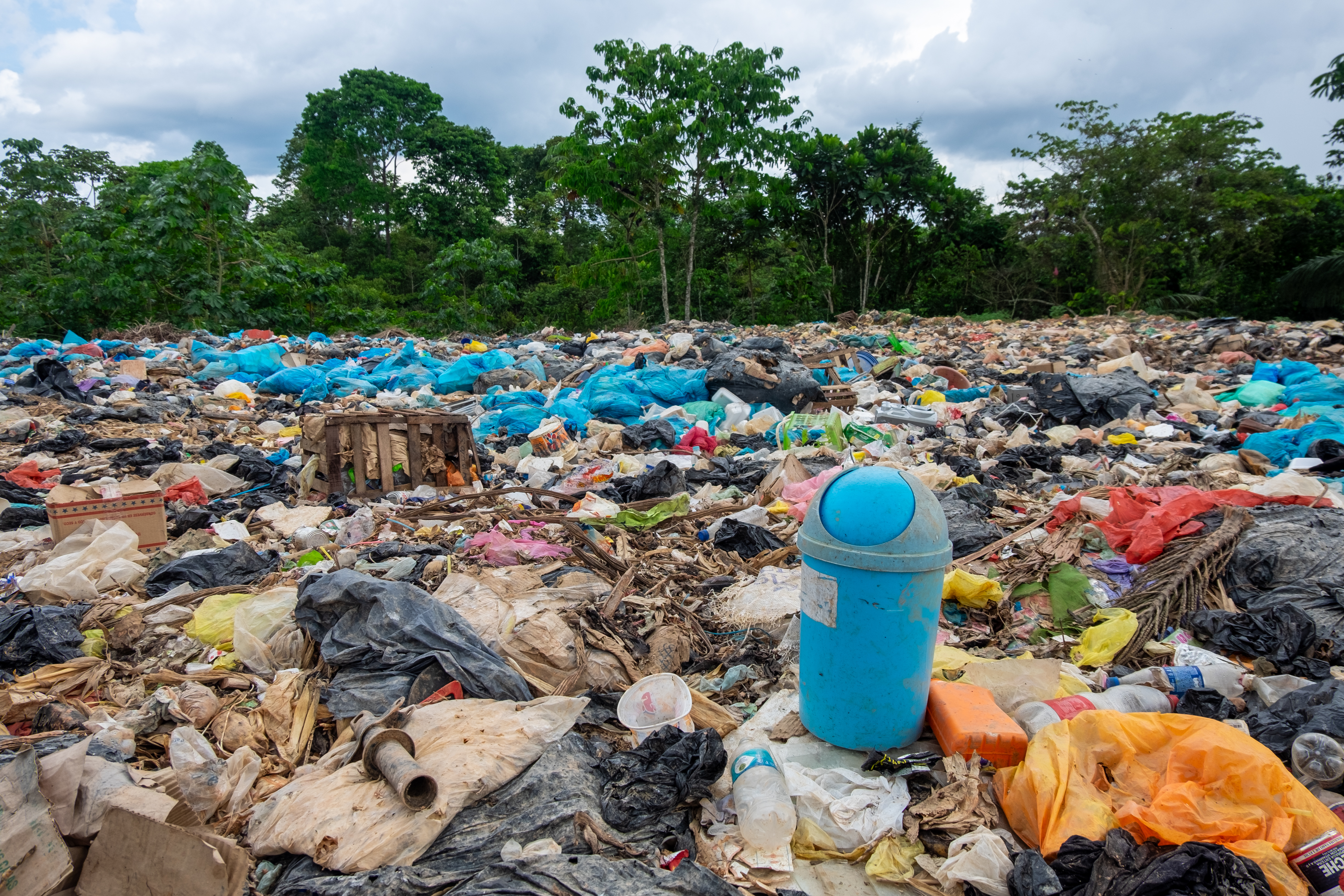 Déchets plastiques et environnement à Puerto Miguel