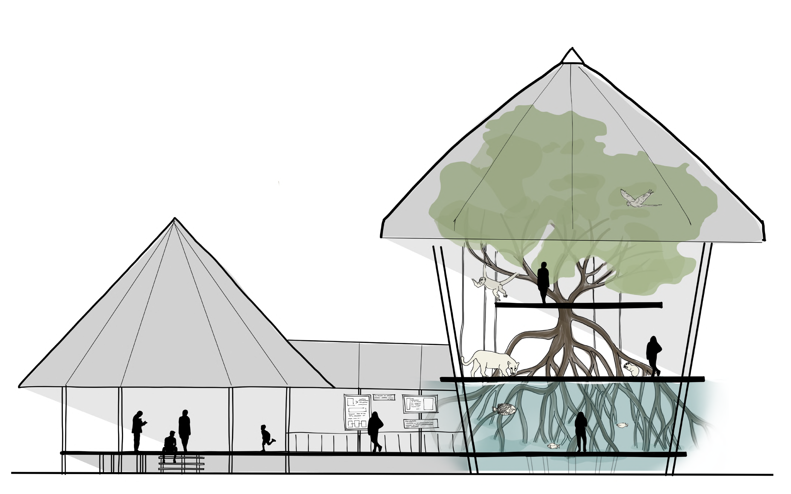 Coupe architecturale du Musée Shapishiko