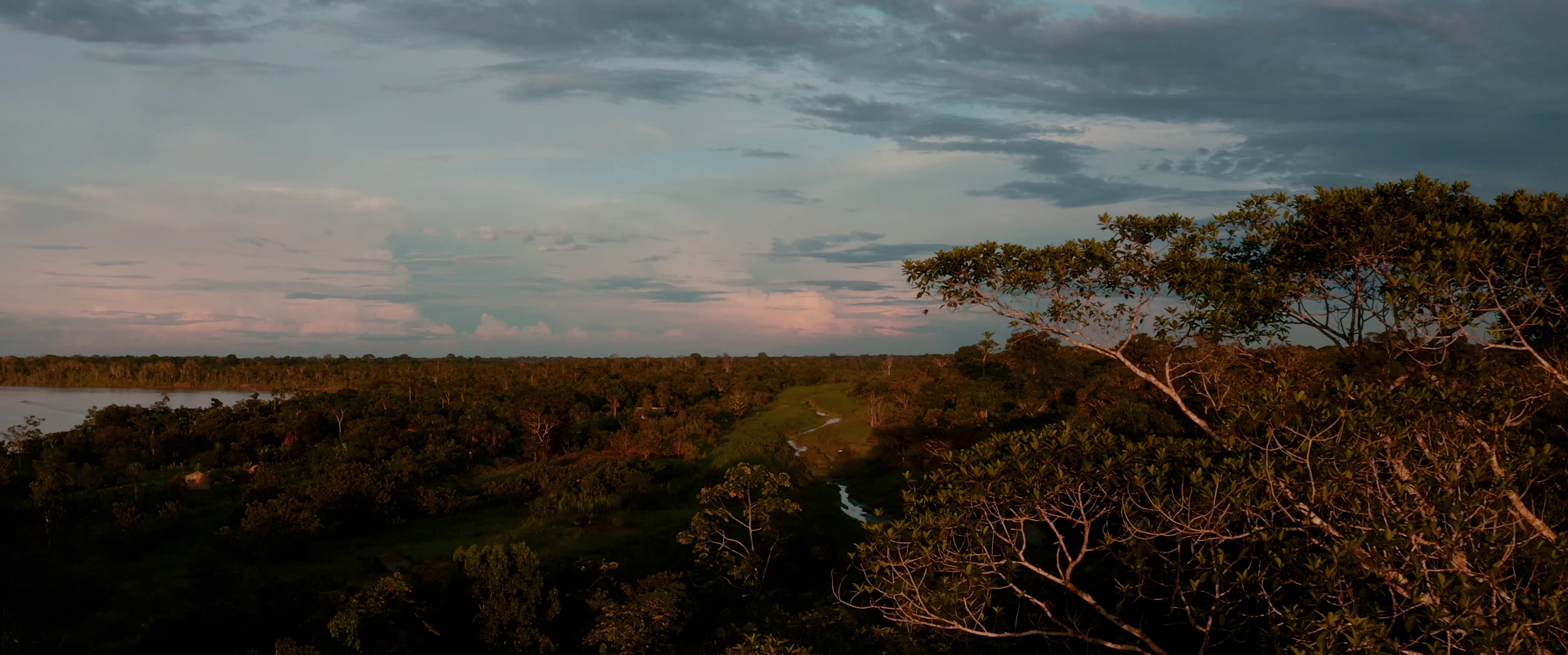 Musée Shapishiko, projet culturel à Puerto Miguel